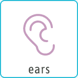 btn-ears-service