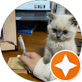 Hugging HamburgerCat Avatar